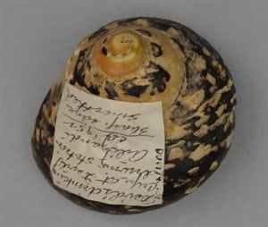 Image description is not available for DU1974.101